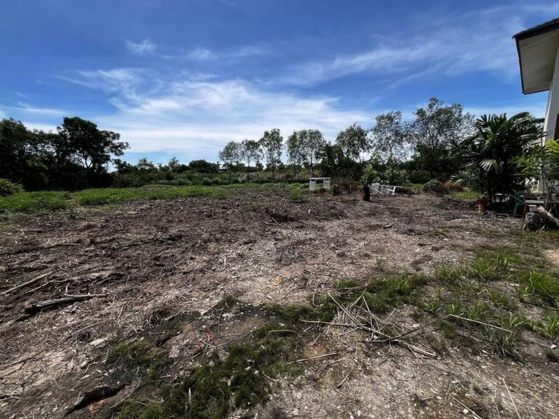 ขายและให้เช่าที่ดินเปล่าถมแล้ว ขายและให้เช่าที่ดินเปล่าถมแล้ว