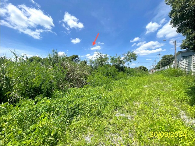 ขายที่ดินว่างเปล่า ซ.ไทรม้า 17 ถ.ไทรม้า ตำบลไทรม้า อำเภอเมืองนนทบุรี จ.นนทบุรี