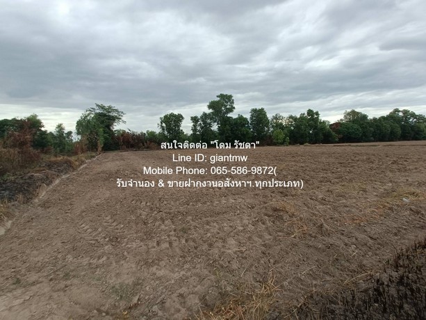 พื้นที่ดิน //ปรับลดราคา//ขายที่ดิน พร้อมสิ่งปลูกสร้างติดทางหลวงหมายเลข 11 (อ.วังทอง จ.พิษณุโลก) 36-3-99.7 ไร่, ราคา 25,159,490 บาท  25159490 บาท  36 RAI 3 ngan 99 ตร.วา ใกล้ ตลาดวังทอง และสามแยกวังทอง ประมาณ 18 กม. VERY GOOD