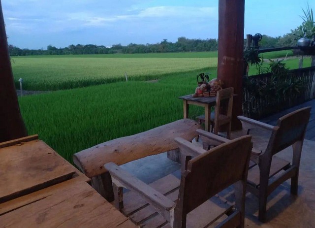 ทำเลเงื่อนไขซื้อขายสิ่งสำคัญ ให้เช่าบ้านไม้ถ่ายหนังถ่ายละคร MV โฆษณา หนังสั้น คอนเท้นท์ บ้านสวยวิวทุ่งนา ไทรน้อย 0968821857