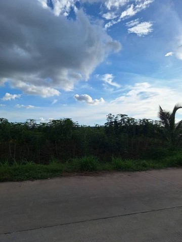 ขายที่ดินศรีราชา บ่อวิน ทำเลดี ติดนิคม WHA1 ชลบุรี FP-L0800