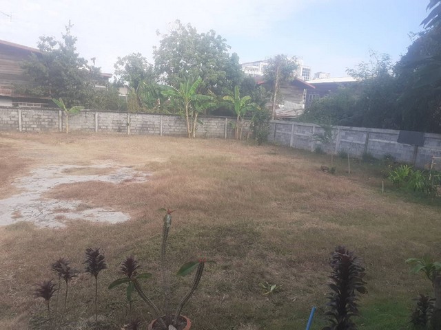 ขายด่วนๆที่ดิน เนื้อที่ 63 ตร ว 37 ซอยประชาสุขสันต์ ตำบลหนองแสง อ เมือง จ นครพนม