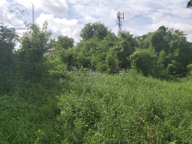 ขายที่ดินทำเลทอง ผังสีเหลือง ถนนพัฒนาชนบท3 เนื้อที่ 3-0-33 ไร่  ลาดกระบัง กรุงเทพฯ