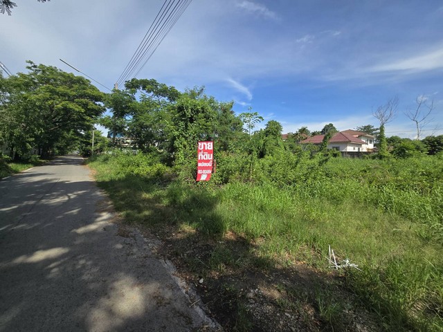 ขาย ที่ดินเปล่า 208.4 ตร.ว ทำเลดี คลองสาม ต.คลองหลวง ปทุมธานี แปลงสวย ใกล้วัดธรรมกาย