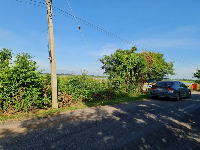 ทำเลเงื่อนไขซื้อขายสิ่งสำคัญ ขายที่ดิน 4ไร่เศษ ติดถนนคอนกรีต ต.มหาราช อ.มหาราช จ.อยุธยา