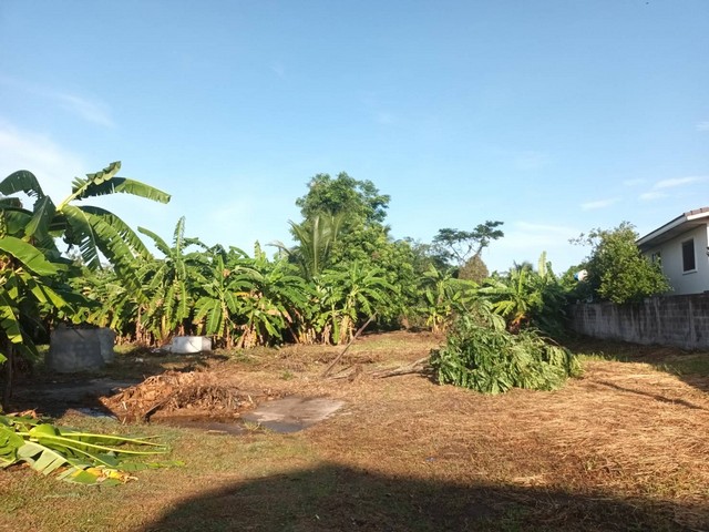 ขายที่ดิน 1 ไร่ 1 งาน 70 ตร.ว. ต.สูงเนิน อ.สูงเนิน จ.นครราชสีมา ทำเลดี ใกล้แหล่งชุมชน บรรยากาศสงบ เหมาะแก่การลงทุน!