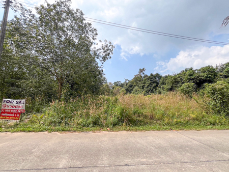 Prime 1 Rai Land in Taling Ngam -Only 3.7M THB 9,250 THBsq.wah Koh Samui Land Bargain Samui Land Near Nikki Beach Resort