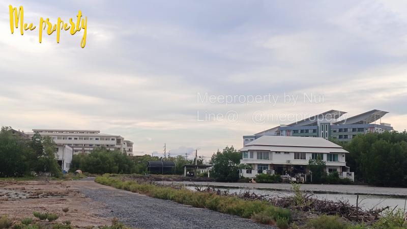 ปล่อยเช่าที่ดินถมแล้ว หลัง มจธ.บางขุนเทียน เนื้อที่ 2 ไร่ 27 ตร.ว. สามารถเปิดร้านกาแฟ ร้านอาหาร ที่พัก บ่อตกปลา  ME-204