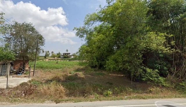 ขายที่ดินระยอง นิคมพัฒนา แปลงสวย เขตพัฒนาอุสาหกรรม FP-L0812