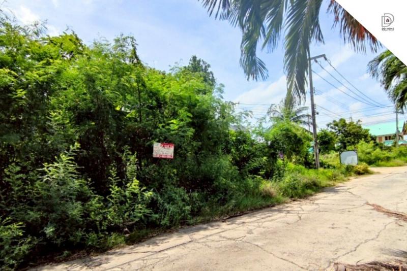 ขายที่ดินเปล่าไทรน้อย ไทรน้อย ใกล้ อบต.ไทรน้อย (DD002067)