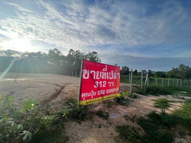 ขายที่หัวหิน ขายที่เปล่านาตาช้าง1 เนื้อที่ 312 ตารางวา แหล่งชุมชน หมู่บ้านหัวนา