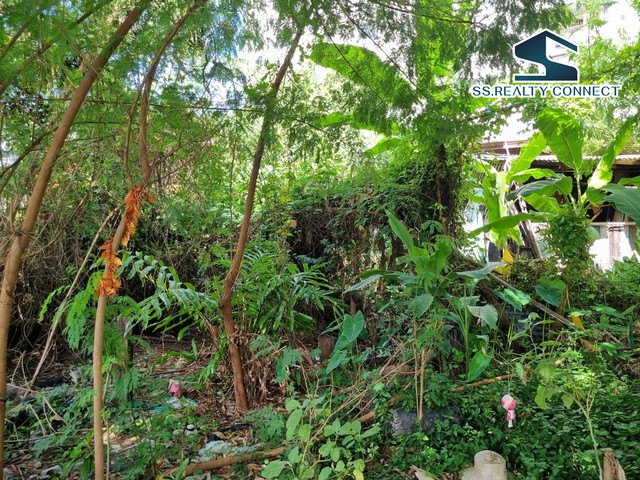 ขายที่ดินถนนสุขุมวิท ย่านปรีดีพนมยงค์ 348 ตร.ว. คลองตันเหนือ วัฒนา