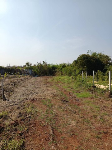 ขายที่ดินเปล่า 286 ตร.ว. เหมาะกับการลงทุนธุรกิจร้านคาเฟ่ ร้านอาหารแนวธรรมชาติ หรือที่อยู่อาศัยหลังที่ 2 กระทุ่มแบน จ.สมุทรสาคร