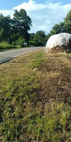 ที่ดินติดถนน วิวสวย อากาศดี มีลำคลองขั้นกลาง โซนเชียงดาว