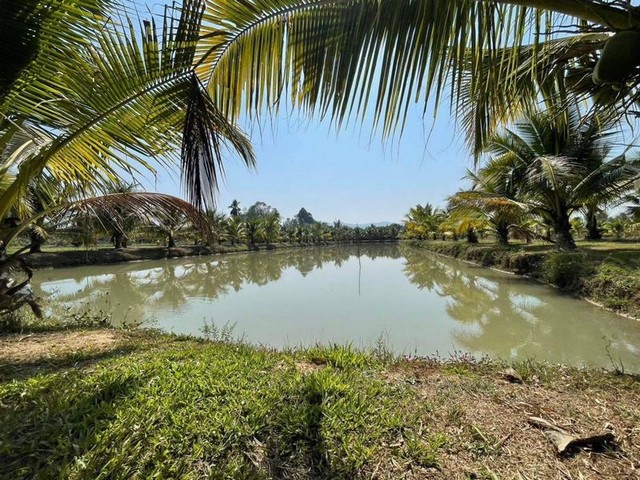 ที่ดินสวยน้ำดี ตลอดปี ใกล้เขื่อนแม่งัด บ้านกาด โซนแม่แตง