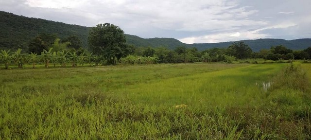 อสังหาเลือกดูจับจองได้ ขายที่ดินสวยติดภูเขา เทือกเขายาวเรียงแนว ดินดีสมบูรณ์ทรัพย์ในดิน ฟ้าใสวิวหลักล้าน ต.นาจาน อ.สีชมพู จ.ขอนแก่น