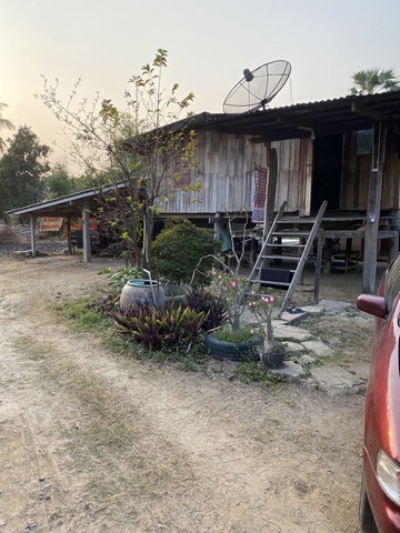 อสังหาเลือกดูจับจองได้  ขายบ้านไม้ จ.สิงห์บุรี  วิถีไทย  ต.โพทะเล วิถีไทย 262 วา ต.โพทะเล อ.ค่ายบางระจัน สิงห์บุรี 500000บาท