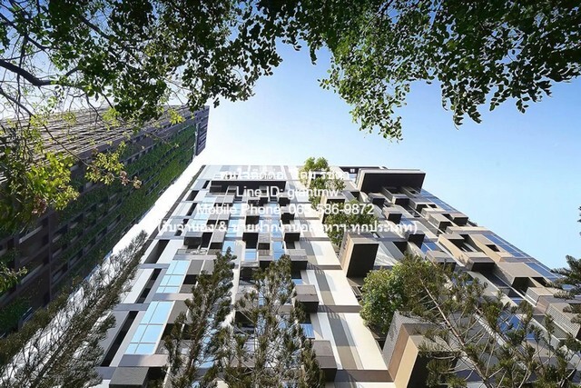 condo. Ideo Morph 38 ไอดีโอ มอร์ฟ 38 1 Bedroom 1 ห้องน้ำ 30000 thb ใกล้กับ รถไฟฟ้า BTS ทองหล่อ ดีดี เป็นคอนโดพร้อมอยู่ที่มีการตกแต่งภายในเพิ่มเติมได้แบบเรียบหรู และมีทำเลสวยสามารถมองเห็นวิวสวยงาม พร้อมพื้นที่ส่วนกลาง และสิ่งอำนวยความสะดวกครบครัน ทั้ง