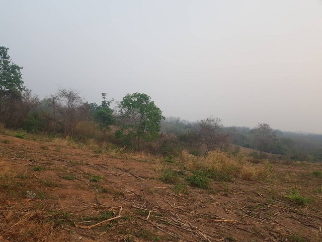 อสังหาเลือกดูจับจองได้ด้วยทรัพย์ดีทวีมูลค่า ธรรมชาติเนินเขา ที่ดินโฉนดแบ่งขาย หล่มเก่า เพชรบูรณ์ ใกล้ภูทับเบิก โทร 0968821857