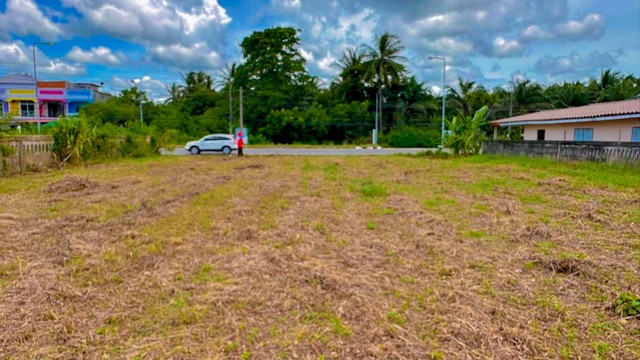 อสังหาเลือกดูจับจองได้ ขายที่ดินริมหาดสะพลีทรายขาวน้ำใสคราม สวยงามวิวทะเลธรรมชาติสุดสุด ปะทิวใกล้หาดสวยทุ่งวัวแล่น  