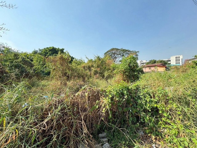 ขายที่ดินลาดพร้าว101 ซอย7 ที่ดินติดถนนลาดพร้าว101 ใกล้ mrt ลาดพร้าวใกล้เดอะมอล์บางกะปิผังเมืองสีเหลือง