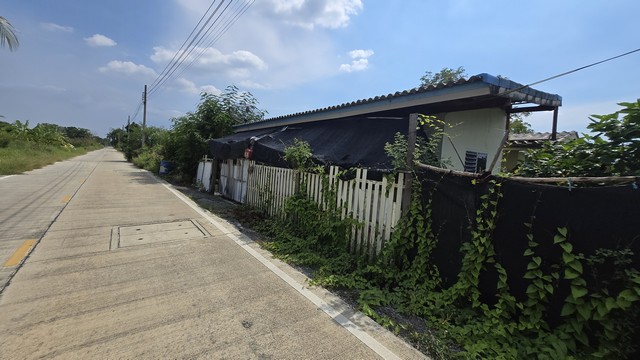 ขายบ้านพร้อมที่ดิน 100 ตร.ว.บ้านปูนชั้นเดียว 2 ห้องนอนทำเลดี 