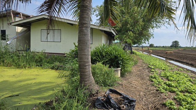 ขายบ้านพร้อมที่ดิน 100 ตร.ว.บ้านปูนชั้นเดียว 2 ห้องนอนทำเลดี