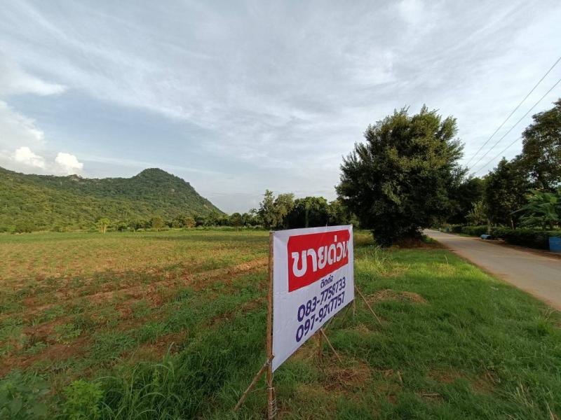 ขายด่วน ที่ดินเปล่า ต.ทุ่งหลวง อ.ปากท่อ จ.ราชบุรี เนื้อที่ 33 ไร่ 1 งาน 72 ตรว.