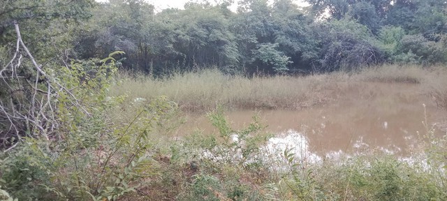 อสังหาเลือกดูจับจองได้ ขายที่สวยติดทางหลวง1107 บ้านตาก จ.ตาก คมนาคมสะดวก ไร่ละ 300000 ต.ตากตก อ.บ้านตาก  จ.ตาก  0837124115