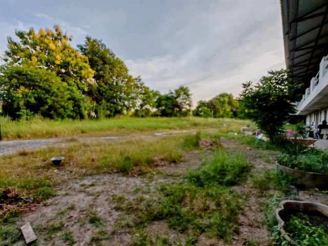 ขายที่ดินพร้อมหอพัก20ห้องหนองหงษ์พานทอง ใกล้นิคมอมตะเฟส 8-9-10 บนเนื้อที่  3ไร่ 1 งาน  19 ตรว