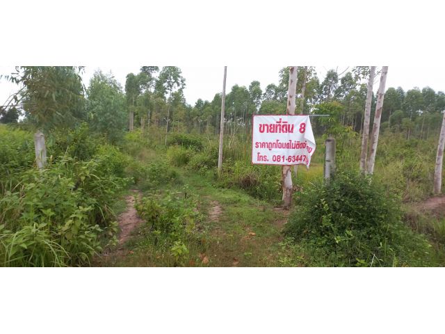 ขายที่ดินทำเลทอง    อำเภอเมือในเมือง   ตำบลพิมาย  จังหวัดนครราชสีมา 