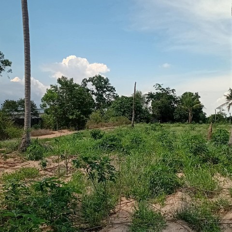 ขายที่ดินนิคมพัฒนาระยอง 6 ไร่ ที่ดินแปลงสวยๆทำเลทอง ที่ติดถนน เหมาะ  โกดัง ที่พักอาศัย อพาร์ทเม้นท์