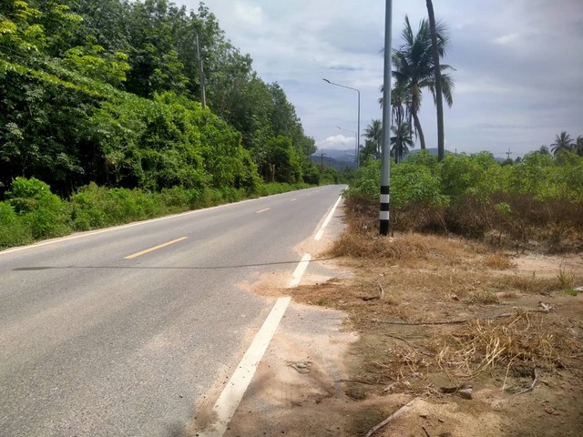 ขายที่ดินสวยชลบุรี ผังสีเหลืองeec เนื้อที่ 31ไร่ 2 งาน 45 ตรวห่างจากท่าเรือแหลมฉบัง 26 กม.