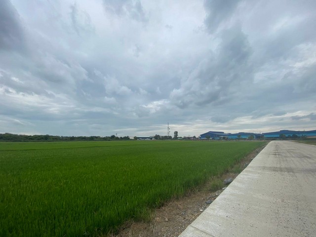 ขายที่ดิน 7-3-26  ไร่ ถมแล้วผังสีม่วง แปลงสี่เหลียมหน้ากว้าง เขตEEC อ.เมือง ฉะเชิงเทรา สร้างโรงงานได้ทุกประเภท