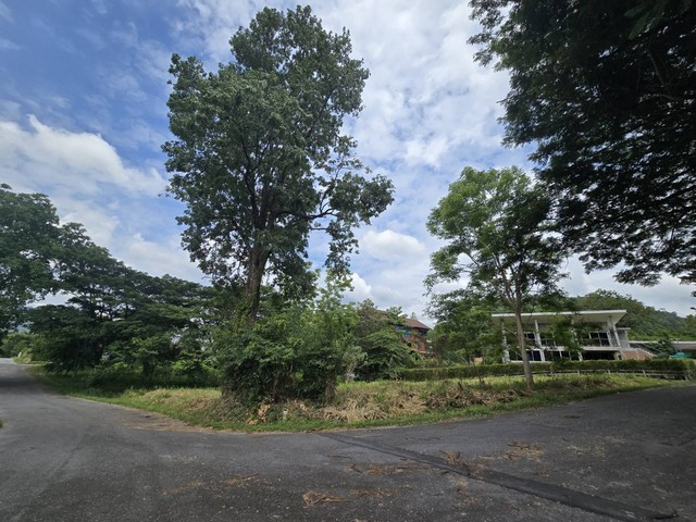 ขายที่ดินแปลงมุม 289.9 ตร.ว โครงการภูภัทรา ปากช่อง เขาใหญ่ ติดถนน 2 ด้าน วิวธรรมชาติ ใกล้แหล่งท่องเที่ยว