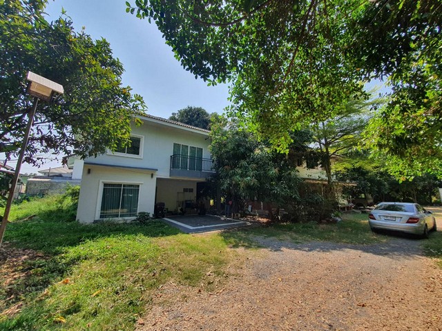 เช่าบ้านเดี่ยว ตรงข้ามตลาดยิ่งเจริญ  ตลาดสะพานใหม่ เช่าเดือนละ15,000.บาท  ใกล้รถไฟฟ้า BTS สะพานใหม่ระยะ 1.40 กิโลเมตร 