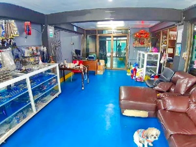 ซีคอน บางแค MRT ภาษีเจริญ 400ม.ให้เช่าอาคารพาณิชย์ 2 คูหา 4 ชั้น 36ตร.วา. 576ตร.ม. 4นอน 4น้ำ ม.สยาม 1.6กม. ย่านเพชรเกษม