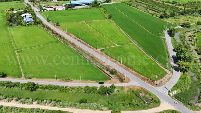 ที่ดินเปล่า 3 แปลง 22 ไร่ 66 ตารางวา สามชุก สุพรรณบุรี