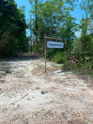 ขายที่ตราด ที่เปล่าแหลมกลัด ที่ใกล้ทะเลติดคลองสนห่างจากทะเล100เมตรผังเมืองสีเขียวต.แหลมกลัด อ.เมืองตราด จ.ตราด