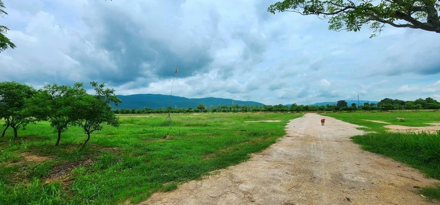 ขายที่ดินบ้านบึงชลบุรีผังสีเหลืองจำนวนที่ดิน 280 ไร่มีทั้งหมด 3 เเปลง( ไม่เเบ่งขาย )