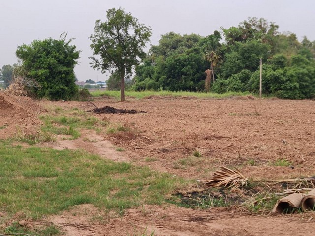 ซื้อไว้ดีมีไว้รวย อสิงห์หา ขายที่สวยติดแม่น้ำน่าน ชุมแสง  จ.นครสวรรค์ 300000 บาท.วิวแม่น้ำเกษตรดีงามสวยสมบูรณ์