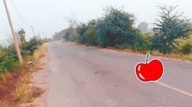 ซื้อไว้ดีมีไว้รวย อสิงห์หา ขายที่ดิน 4ไร่เศษ ติดถนนคอนกรีต ต.มหาราช อ.มหาราช จ.อยุธยา