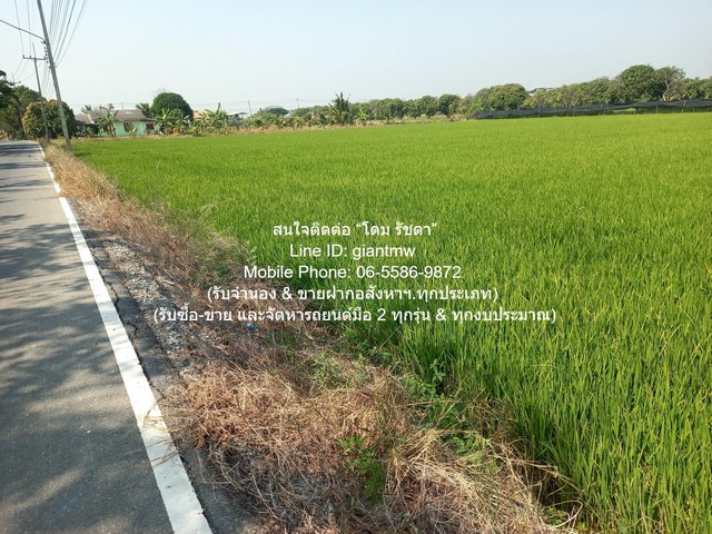 ที่ดิน ขายที่ดินทุ่งนา อ.นครชัยศรี นครปฐม 8-0-76 ไร่ ราคา 24,570,000 บาท   76 ตารางวา 0 Ngan 8 ไร่ 24570000 THAI BAHT ใกล้กับ แม่น้ำท่าจีน โครตถูก