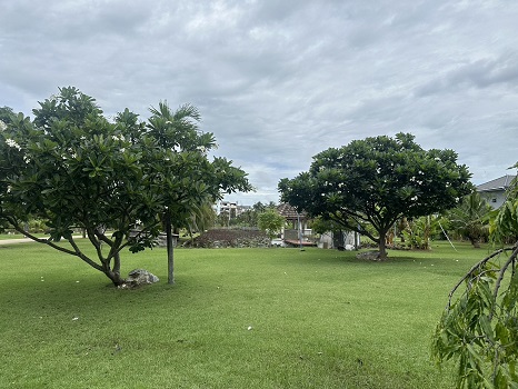 ให้เช่าที่ดินติดถนนท่าข้าม 8 ไร่ บรรยากาศธรรมชาติ  แบ่งเช่าได้ แปลงละ 4 ไร่