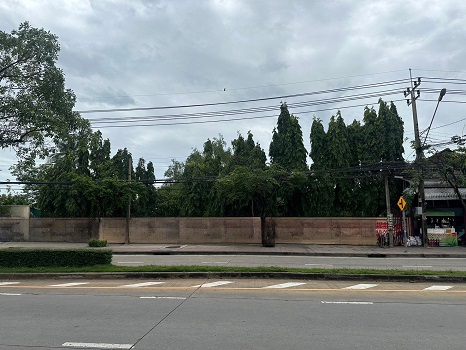 ให้เช่าที่ดินติดถนนท่าข้าม 8 ไร่ บรรยากาศธรรมชาติ  แบ่งเช่าได้ แปลงละ 4 ไร่