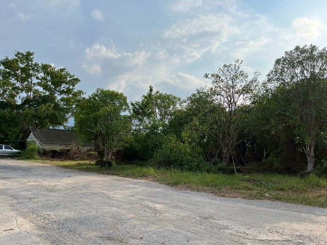 ขายที่ดินคลอง 9 รังสิต 1ไร่  ติดถนนคอนกรีต 12 เมตร ขายเท่าราคาประเมิน มีไฟฟ้า มีประปา ครบ ใกล้แหล่งชุมชน เหมาะทำโกดัง โรงงาน ออฟฟิศบริษัท