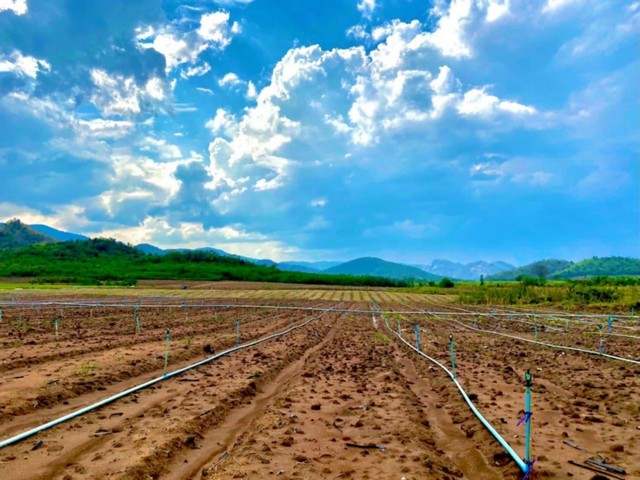 ขายที่ดิน ใกล้แหล่งน้ำ กาญจนบุรี 371 ไร่  เป็นที่ราบ วิวเขาสวย เหมาะทำเกษตร ทำฟาร์ม วิวสวย บรรยากาศดี ทำรีสอร์ท ทำแหล่งท่องเที่ยว