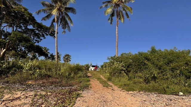 ซื้อไว้ดีมีไว้รวย อสิงห์หา ขายที่ดินใกล้หาดบางเบิด ติดถนนทางหลวง ใกล้หาด1 กม. +ขนาดที่ดิน 50-1-18 ไร่ โฉนดครุฑแดง พร้อมโอน ไร่ล่ะ 8 แสน