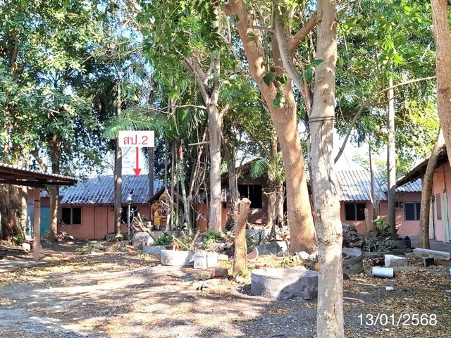 ขายบ้านเดี่ยว ถ.เลี่ยงเมืองชลบุรี (ทล.361)  หนองไม้แดง อ.เมืองชลบุรี จ.ชลบุรี