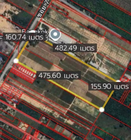 ขายที่ดินเปล่าทำเลดีผัง EEC สีม่วงลาย  พิกัด พนานิคม นิคมพัฒนา ระยอง เนื้อที่ 47-3-00 ไร่ (โฉนด 2ใบ)